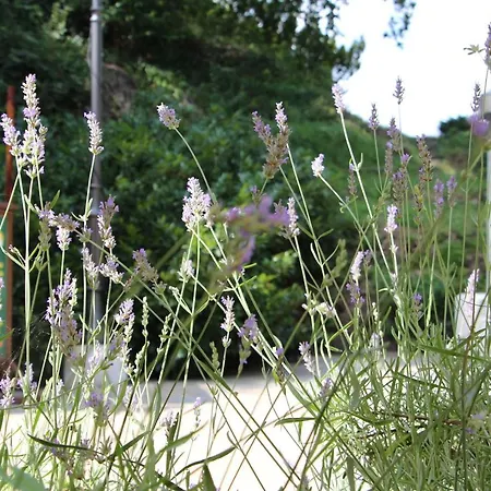 Emilia Bed & Breakfast Vrnjacka Banja